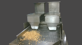 Peanut Peeling Machine, Whole Nut Blancher, Peanut Peeler